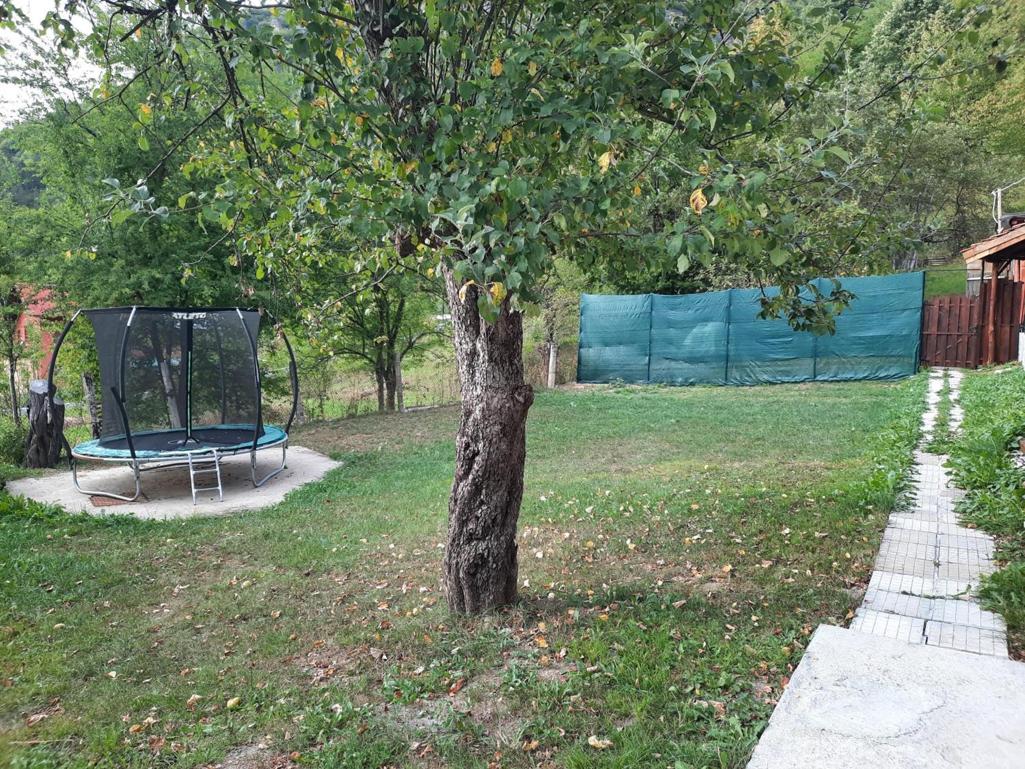 Guest House Lazar Raykov Ribarica Εξωτερικό φωτογραφία